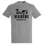 Habibi morocco